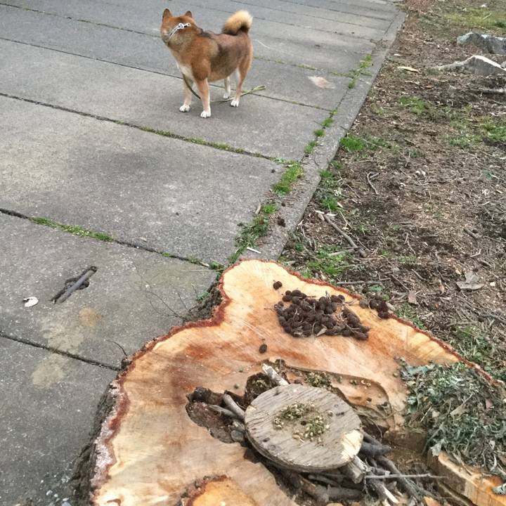 E3d6cc90 8c83 4afa 8b8a 238301683308 1578816105008