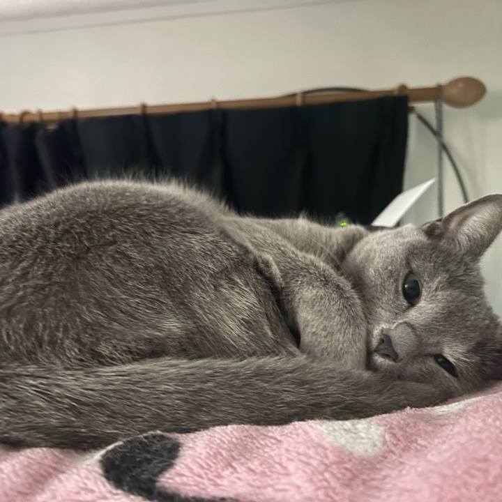 E3d6f0d9 45c4 4544 b810 e106604e52cb 1732580790760