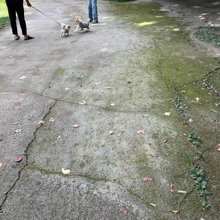 E3d74bba 05a1 408f 8d80 ac3328e1276f 1726396724331