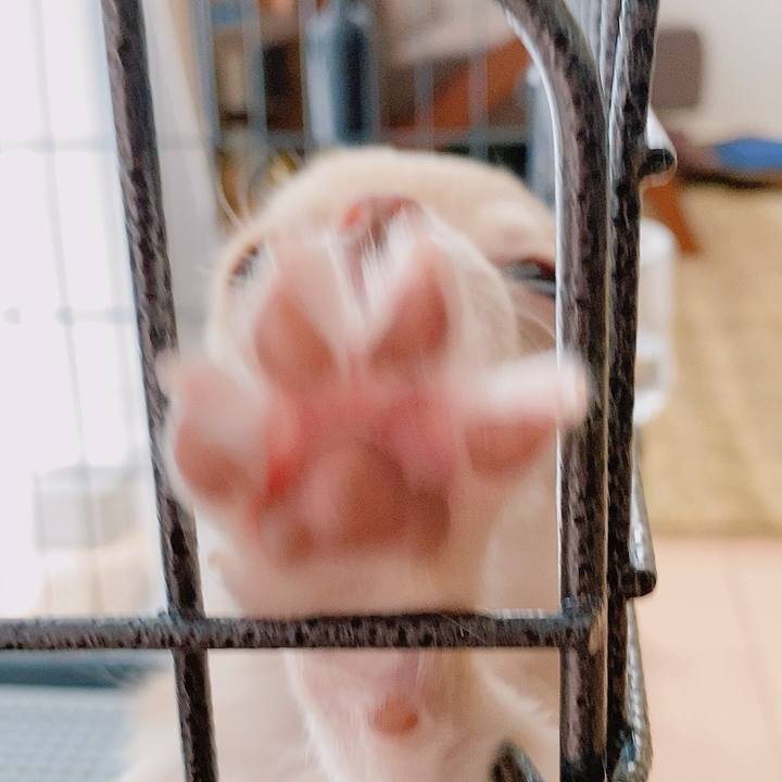 E3d74ea9 7a64 4de7 b926 facf32f0e6e8 1592989689041