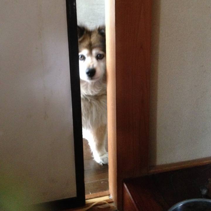 E3d75f8c cde0 49e3 9360 31dfb3d16e81 1569187150903