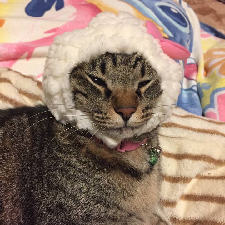 E3d76e7a 55ee 4f80 82f6 1ad57b72b451 1516540383604