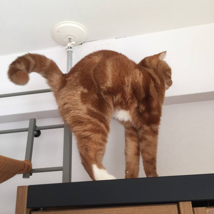 E3d77c84 875e 4faa a17c 0a429da34561 1544319572694