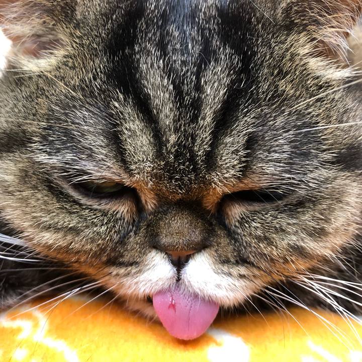 E3d78f75 4368 4ef7 9308 ba8aa950543a 1550809283637