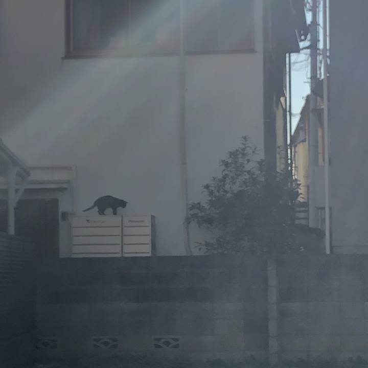 E3d79b05 4581 4c89 843a 4a6fc7b8e450 1573213022142