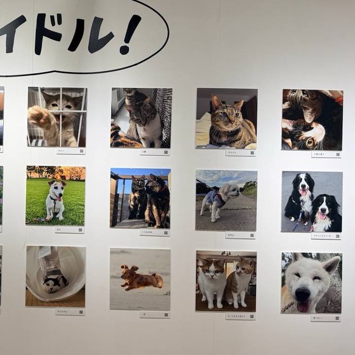 E3d7d2f6 9ac1 4b60 8dd8 e76abeae9f7b 1761555863604