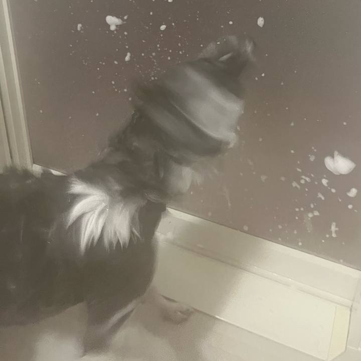 E3d7e0d5 5c27 42be a3b9 e697e475193e 1701343642192