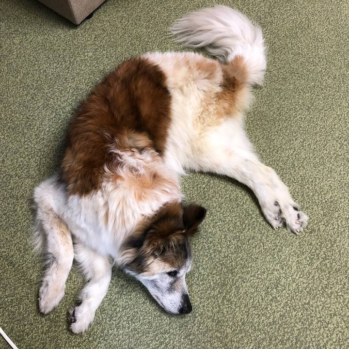 E3d7e7bb 0864 4bbb 98f4 3d6467df10ca 1558840197846