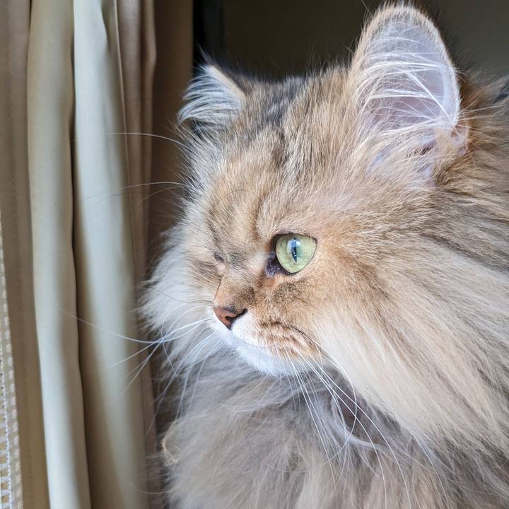 E3d7f72e 1d49 4e56 bc2e 2e537f450fcf 1675998178095