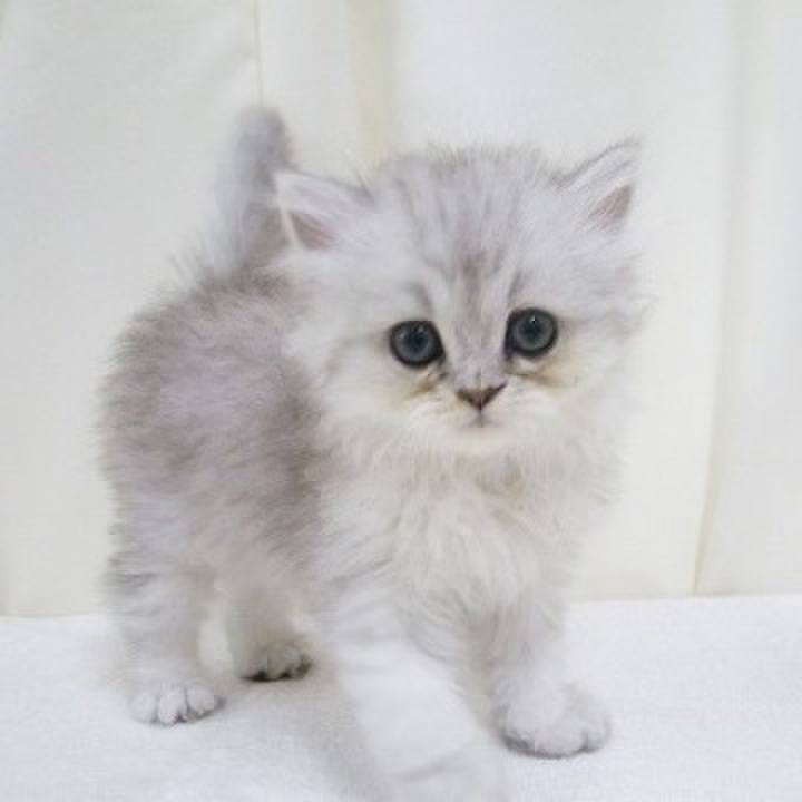 E3d800b5 66d9 408d 8bd1 9f1f3cba57dc 1534813885286