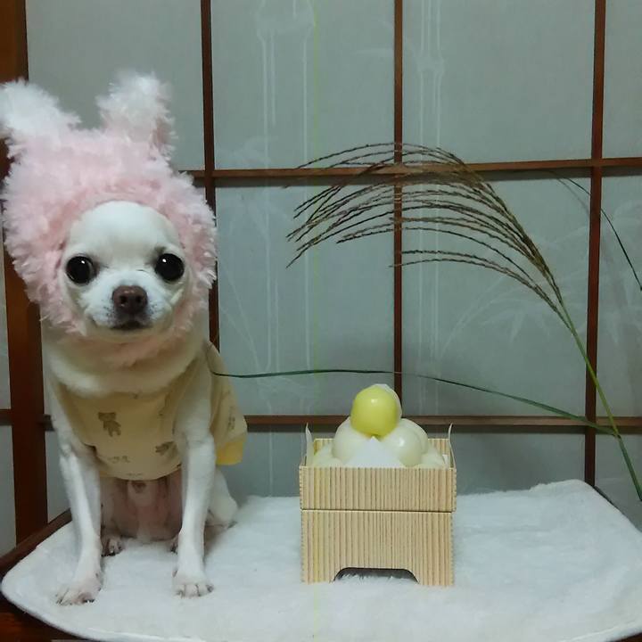 E3d829e7 ee45 49a1 8f37 1d1eb45571b0 1567616677934