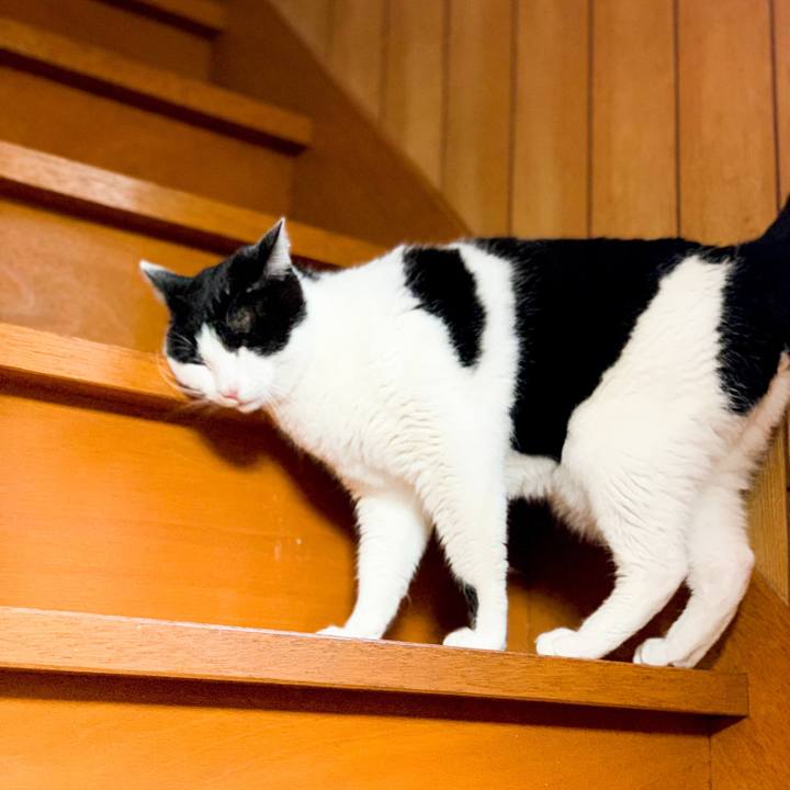 E3d830e5 87a7 4377 8e6d 6027c68c79eb 1550022516082