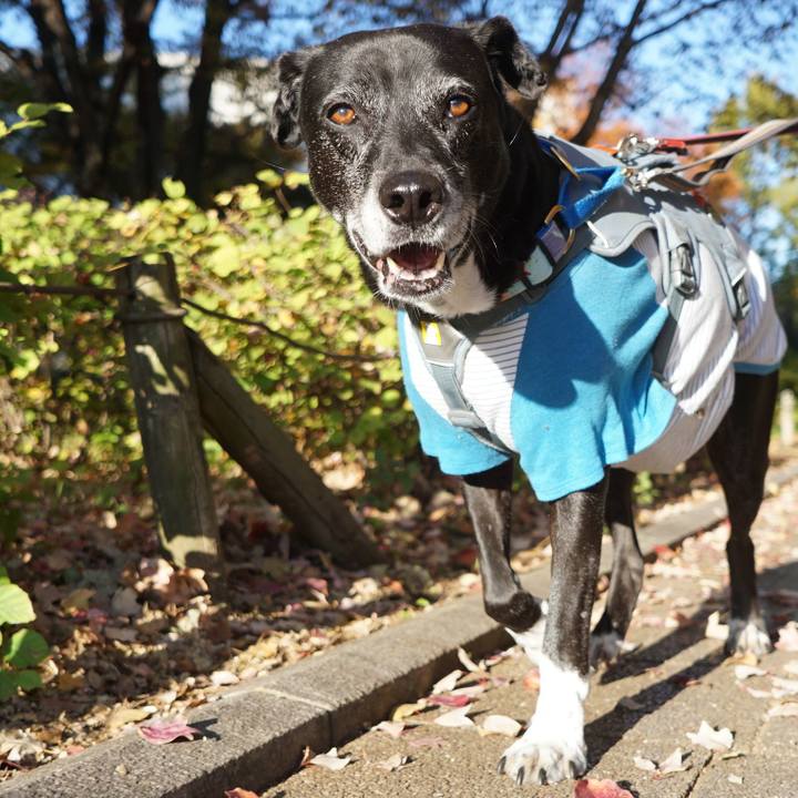 E3d856c1 a7e7 48cb a063 cc8fecd78054 1763686435874