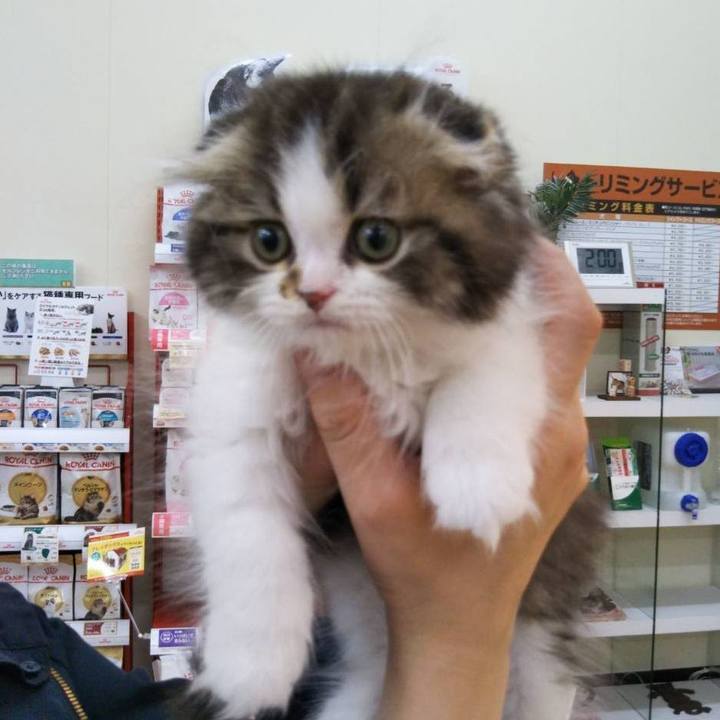 E3d88718 ecc4 415b 9adf 566055cf8982 1772493569740