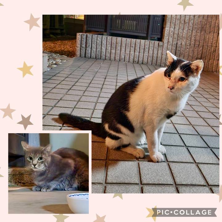 E3d8b9b4 8538 4877 a8d8 e5930aa400fe 1759886523332