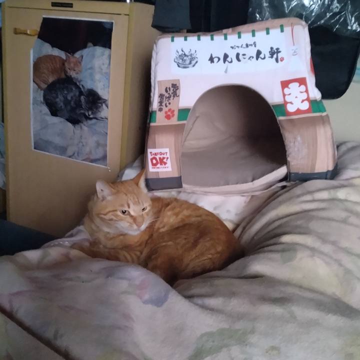 E3d8d77b e4c5 4158 9bcd 6d0655ce12f6 1683417109838