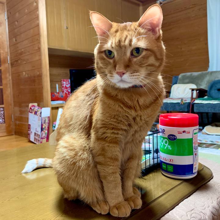 E3d8db9c b4b9 454d a4c8 457a2f36d554 1577014018523