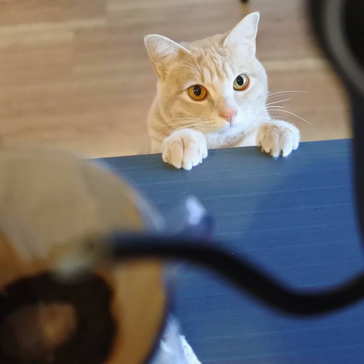 E3d90ed0 93fc 4553 bc06 44b66c7eb14c 1584147344030