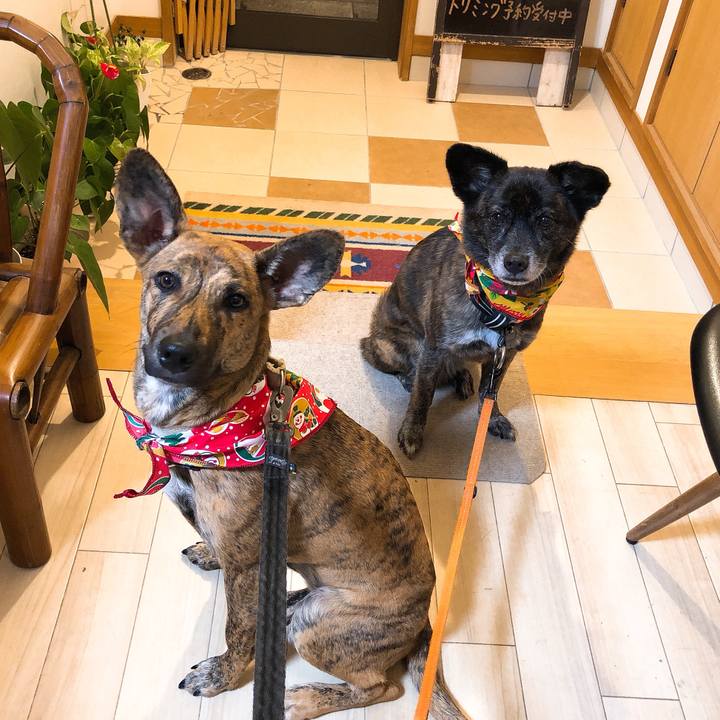 E3d920b7 52ed 445d a649 c18fd82109e7 1576839429576