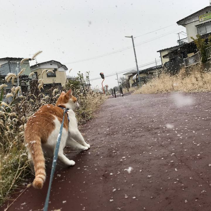 E3d92b26 7b9a 47be a328 8ae51b1445ce 1512777969256