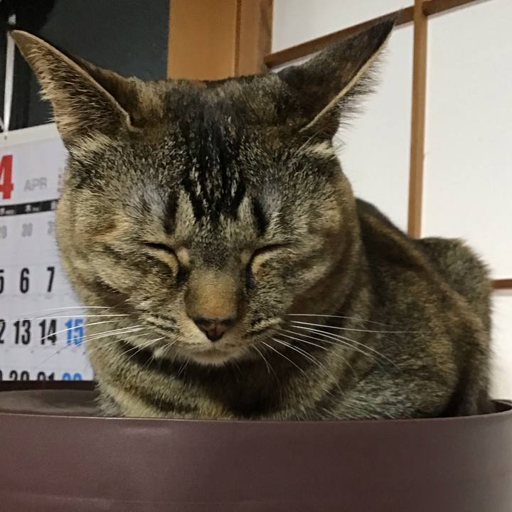 E3d938c6 166a 4481 a315 f9f917915869 1681727453738