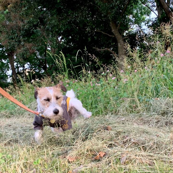 E3d96713 590e 4895 827f 270f98c5ce47 1621933651826