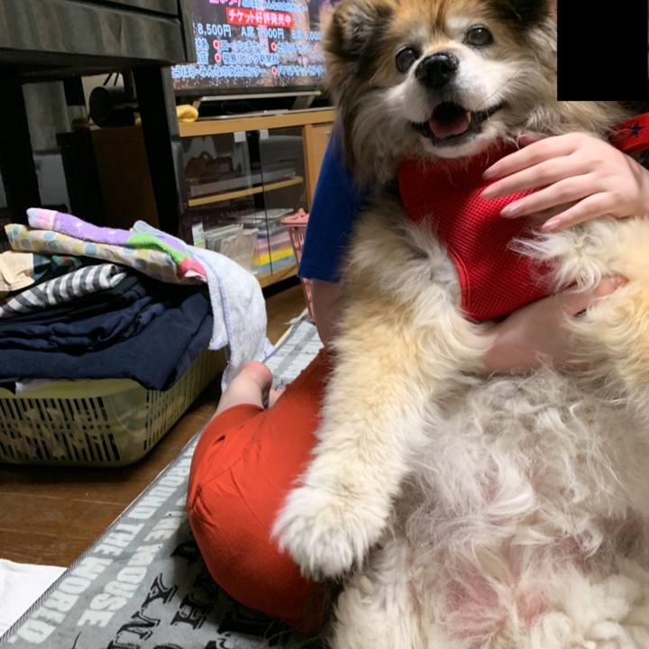 E3d97650 f98c 45f2 9cd8 9e841a0e8938 1599047730230