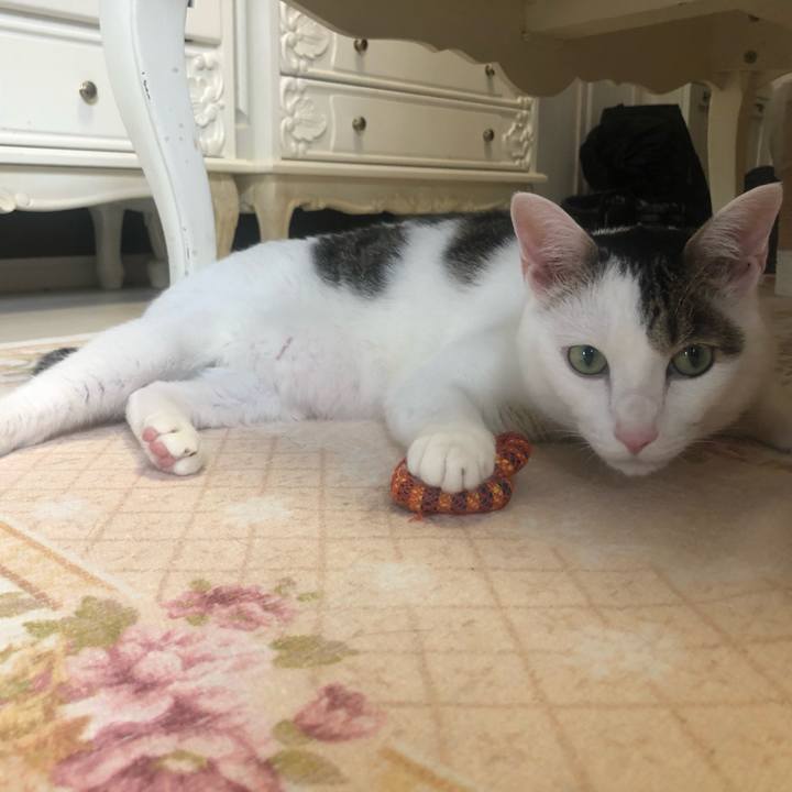 E3d99a55 fc4c 461f af2a b7f3861d5c61 1627566755708