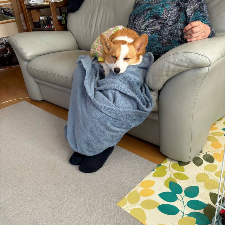 E3d9ad61 dce9 4477 a8a2 28815a49db5b 1770082247515