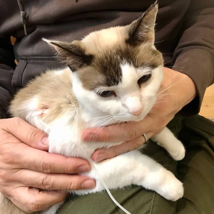 E3d9bf0a 9b84 4436 b7a2 93de6c756440 1607575883653