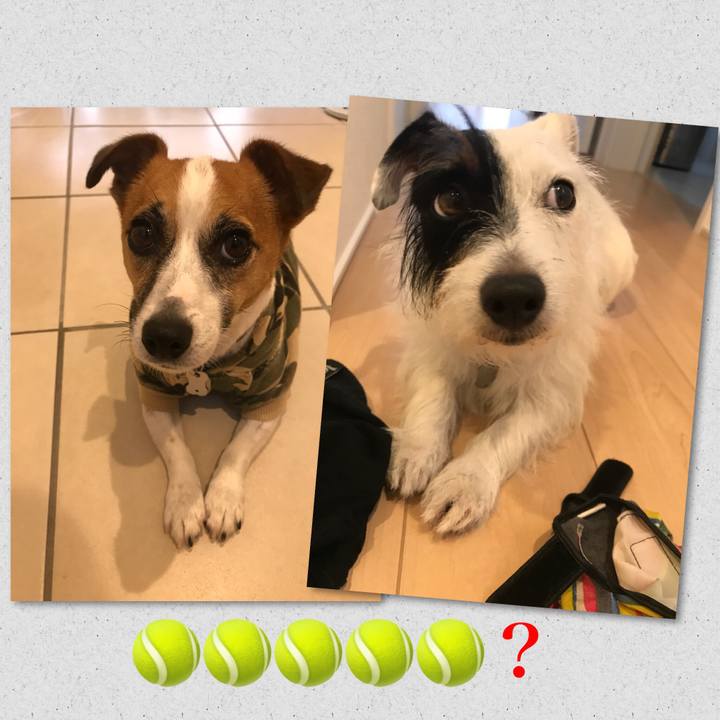 E3d9d76e 9212 4ae3 8b5b 7fa76043678d 1534989183413