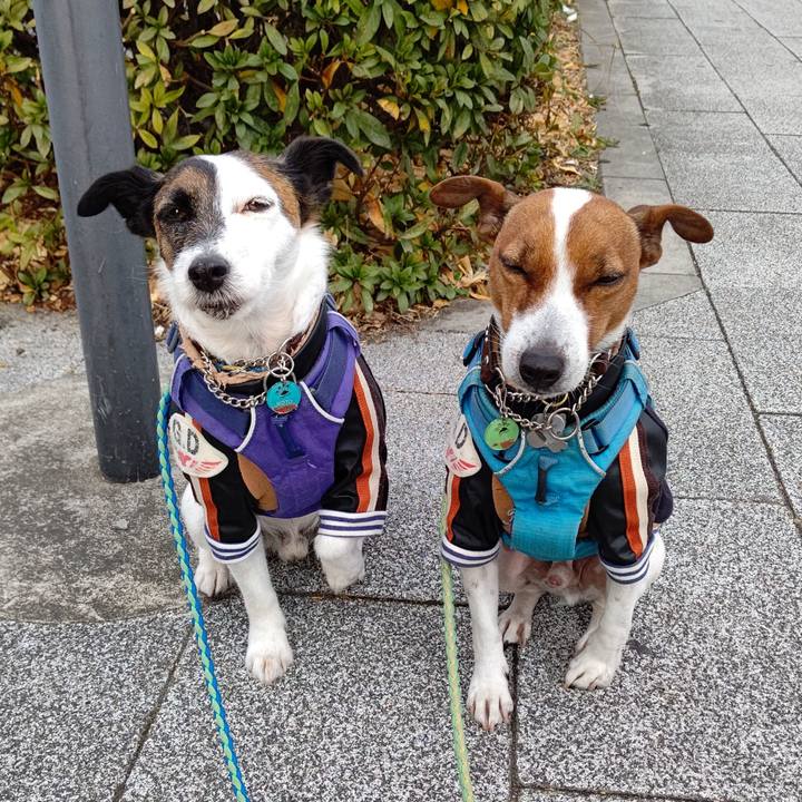 E3d9d8d6 c7cb 4c1b 948c fe87f5202cc3 1642896064791