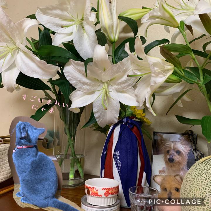 E3d9da4e 369e 4e4f b6e5 9f049a256b0f 1596372784320