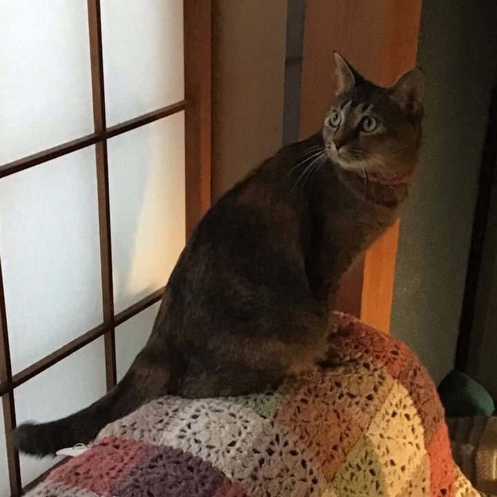 E3d9f040 0c09 41dd 8044 01487788050f 1632394447807