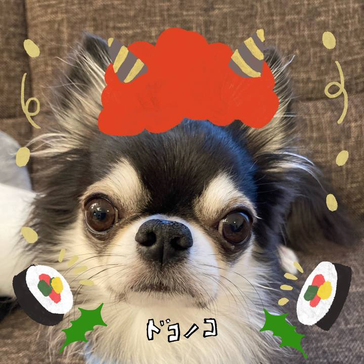 E3da255b 3f01 48b7 bff3 e55088706f2d 1707001317914