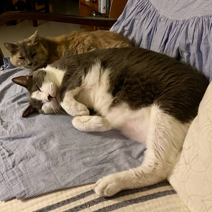 E3da27e2 bfc5 42af 8c39 037cec5fb13f 1756655025953