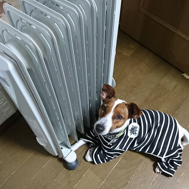 E3da316a 75fc 412a 8e83 3123a2110230 1608248900132