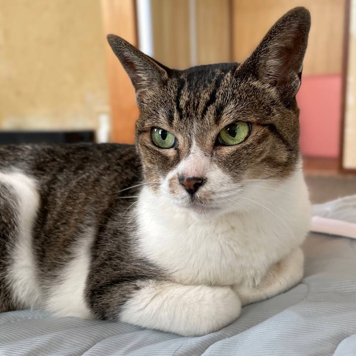 E3da42eb d55f 424c be6b f28e394566d8 1658798733423