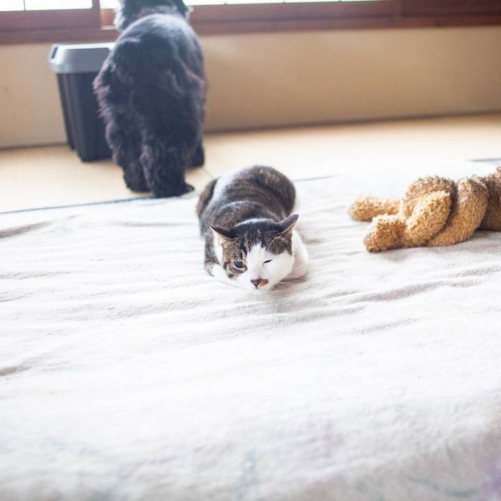 E3da4a27 3c95 4e84 9844 46a855d803d5 1553614346311