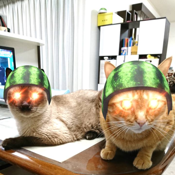 E3da5b16 5c72 4e30 89f8 93077e25ca57 1563095963956