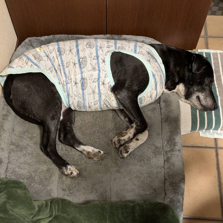 E3da5b4c 2a68 440f b296 6ba6ef8c50d2 1770304747942