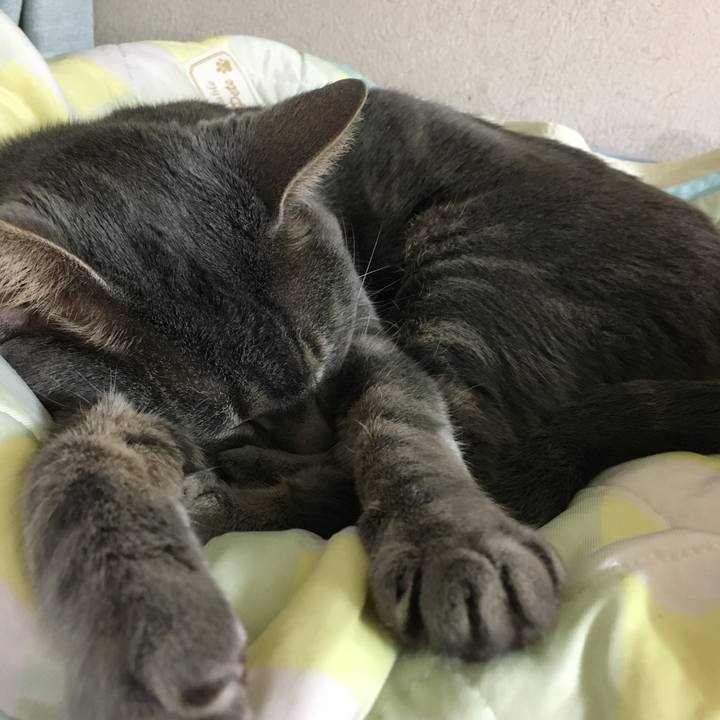 E3da5db3 8af2 4dac 8899 eb90e62f7c38 1592645828581