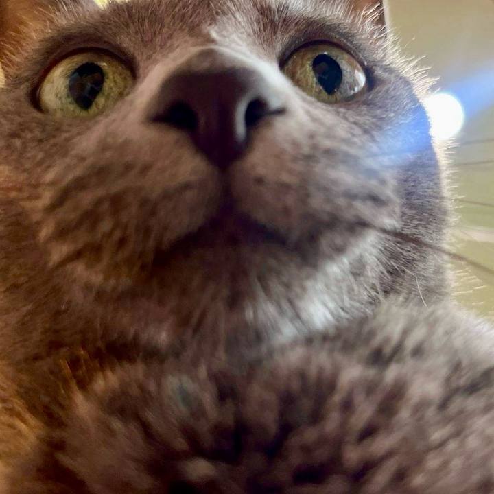 E3da6396 69fd 41ad 8d0e d9ac820ebf7b 1751670946851