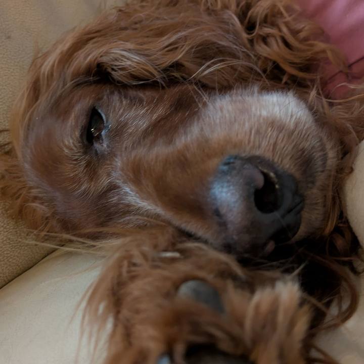 E3da8dd1 968c 4558 9f4f 0613007b55ae 1776738131241