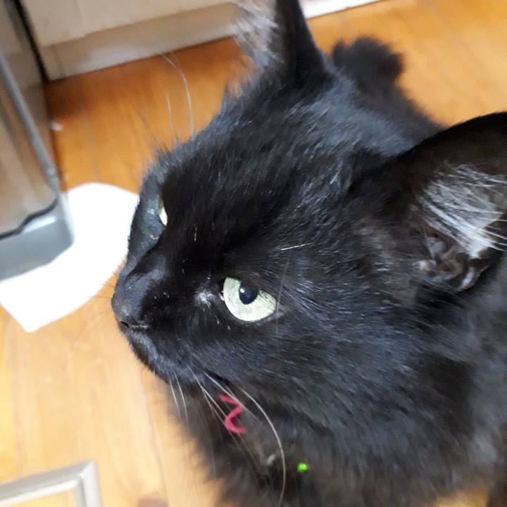 E3dad38b 5ed8 48e5 8a6c d93929e7b833 1519287573862