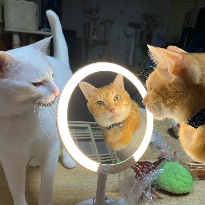 E3daedbb 86d9 46b0 9698 a6d969ba6fe2 1613391147671