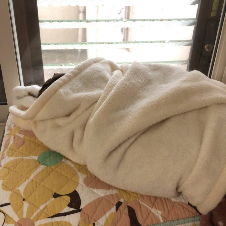 E3db0f78 f462 4ec1 ad14 020400f6be59 1537935980048