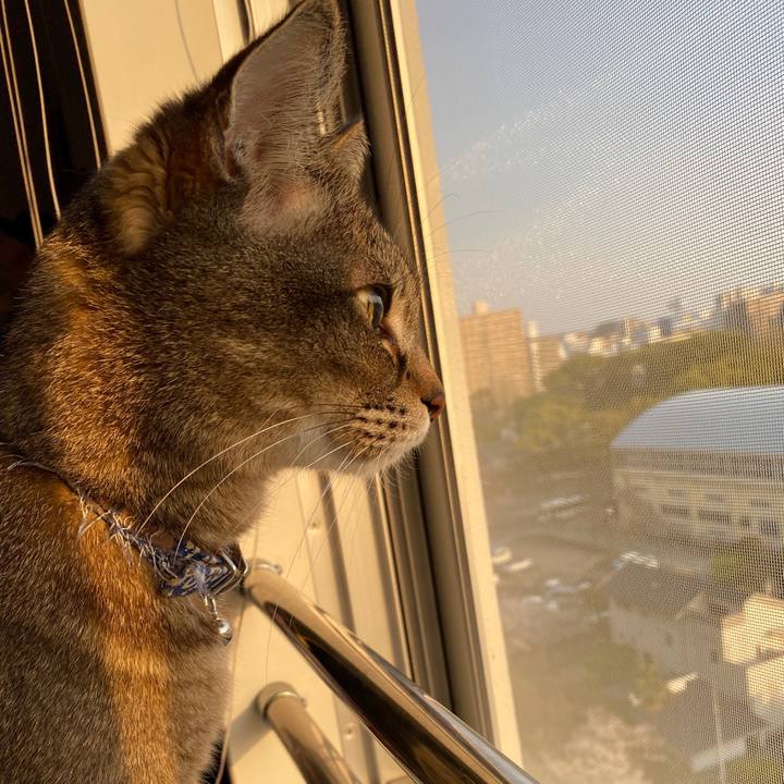 E3db2a4b fb26 41ae 9716 9f65caa67f9d 1585932366154