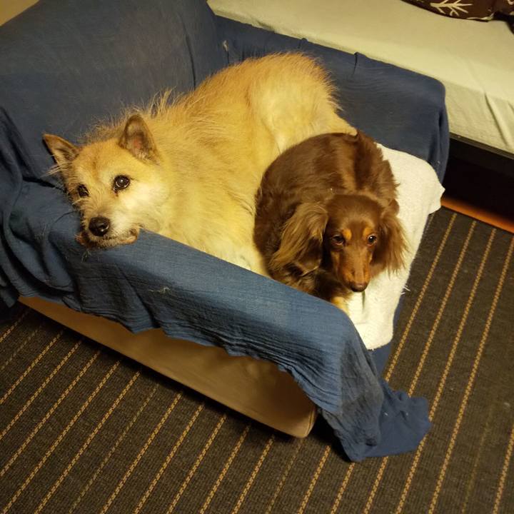 E3db2a52 39f8 425f 91d1 8cec46f11d34 1550676991335