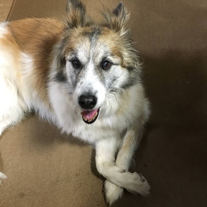 E3db5abc 8ecf 4fa1 8f74 083efa788b99 1686022219843